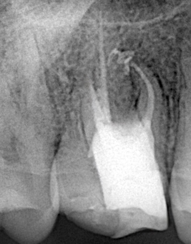 83ca264a-85bb-4df7-8903-48cfa6d7df97