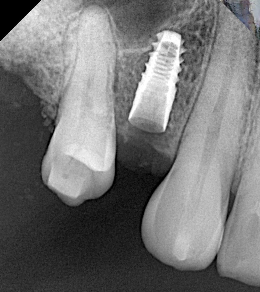 84a0356c-0f3b-4982-810a-b35550066217