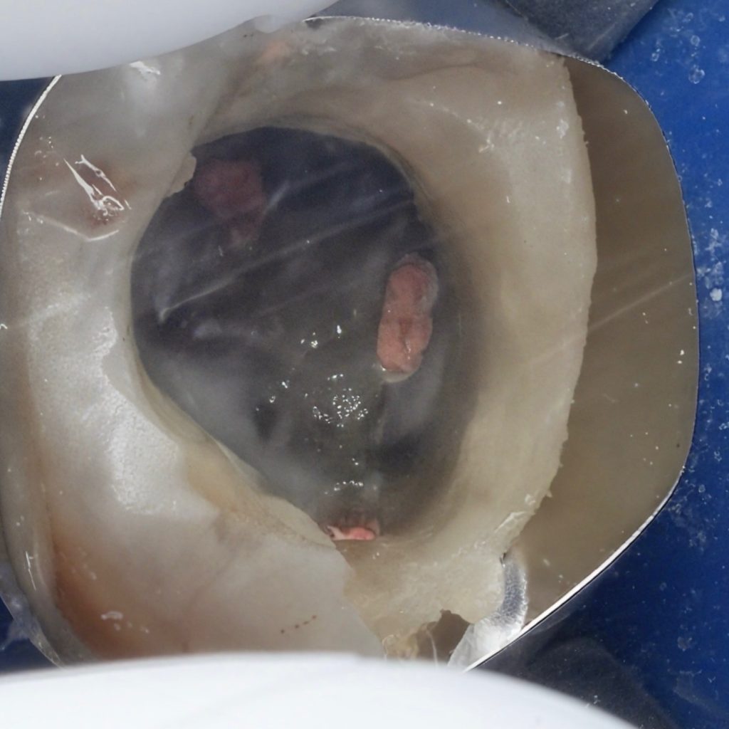 8FCFE6E6-87A9-4408-BA0D-7AD650B34DB7