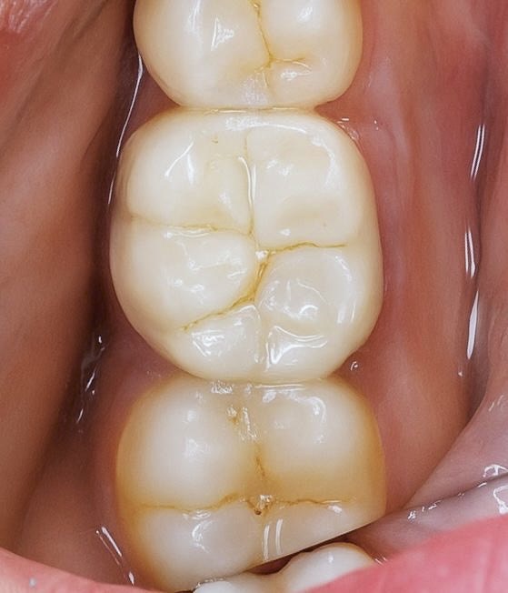 8d92aef2-a90f-4c7e-b8d5-a278f7ad3602