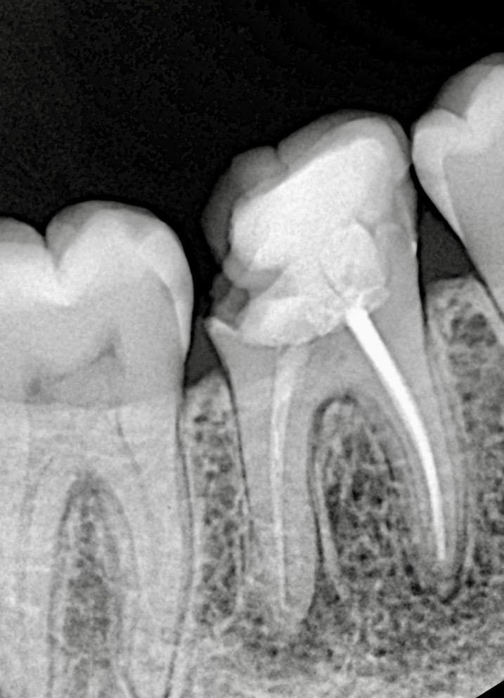 953c33b4-7914-4ebb-b2d0-5ba6c10472a5