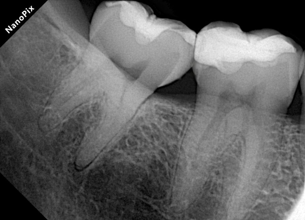 9aa96d61-fe93-4658-9c2a-a961504bca30