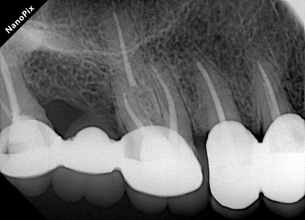 9b9f44f8-4ab4-496f-b0d4-0ddcf2c617f8