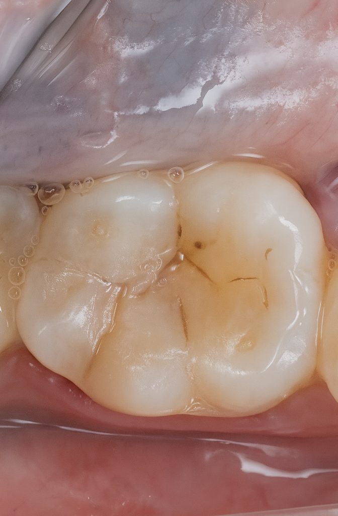 AA8FED01-F320-4B6F-9A39-65A09C3881F4