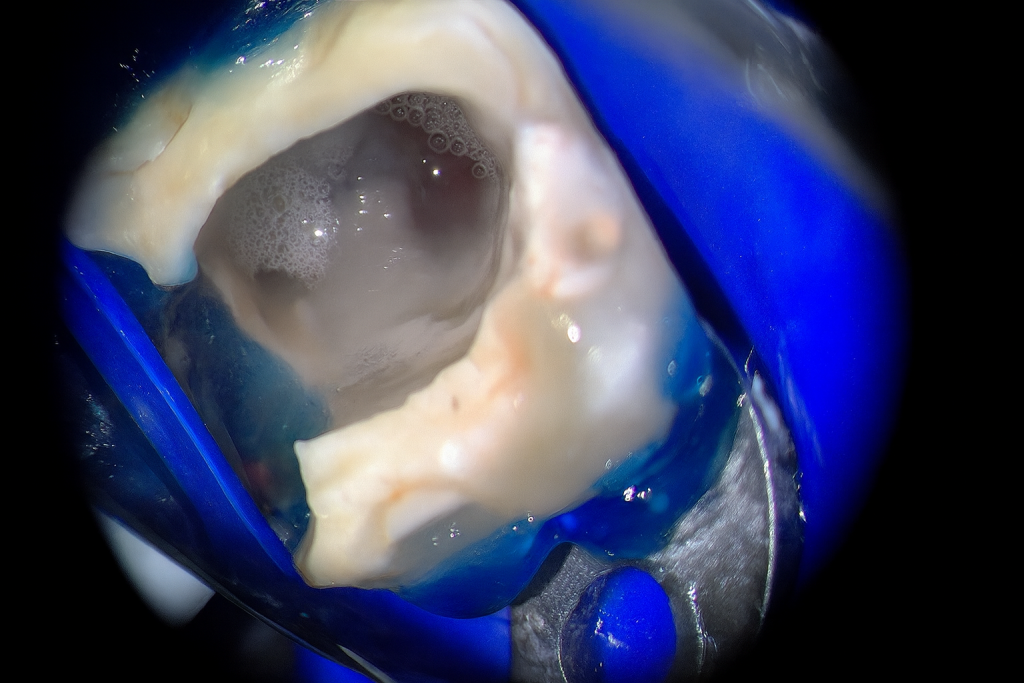 B71C065C-3EB4-400E-9F47-F1952614A713