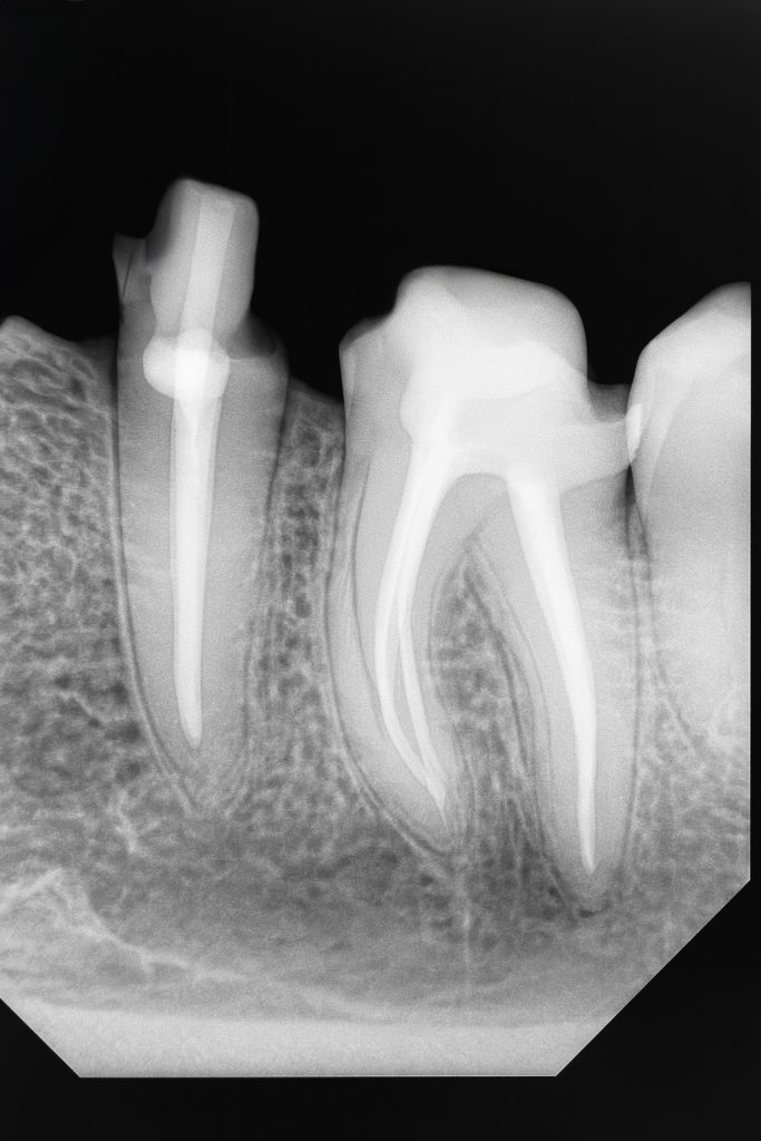 D00F885A-63DD-4F1C-8FC5-5E6DEC752655