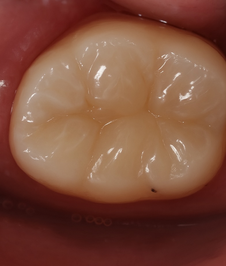 D388F3C7-73C6-4C86-B209-FD562E4130D2