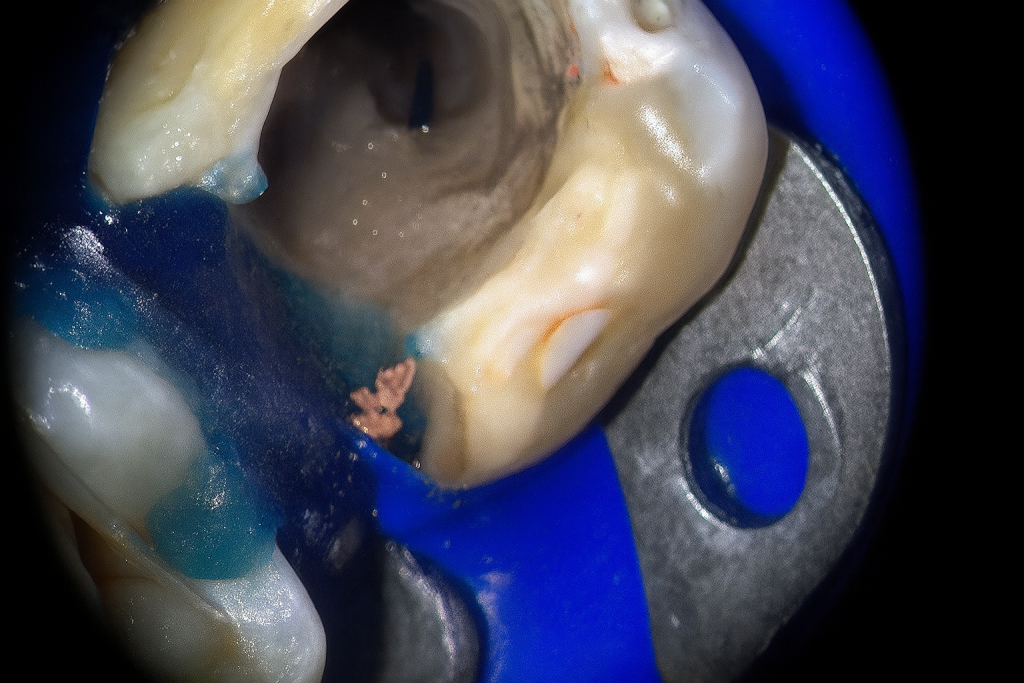 D414B57F-E56F-4153-A426-F45F155EC906