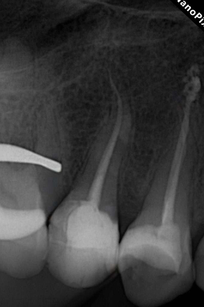 DC160ED0-D34A-426C-ACD1-F2344CF23866