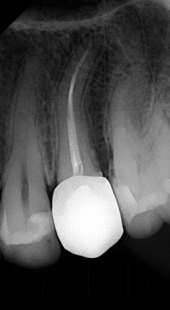 EB9E9688-9F26-4743-99B8-29D038EE52E6