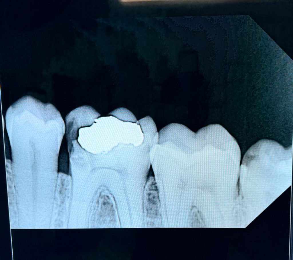 PHOTO-2025-10-15-11-39-43