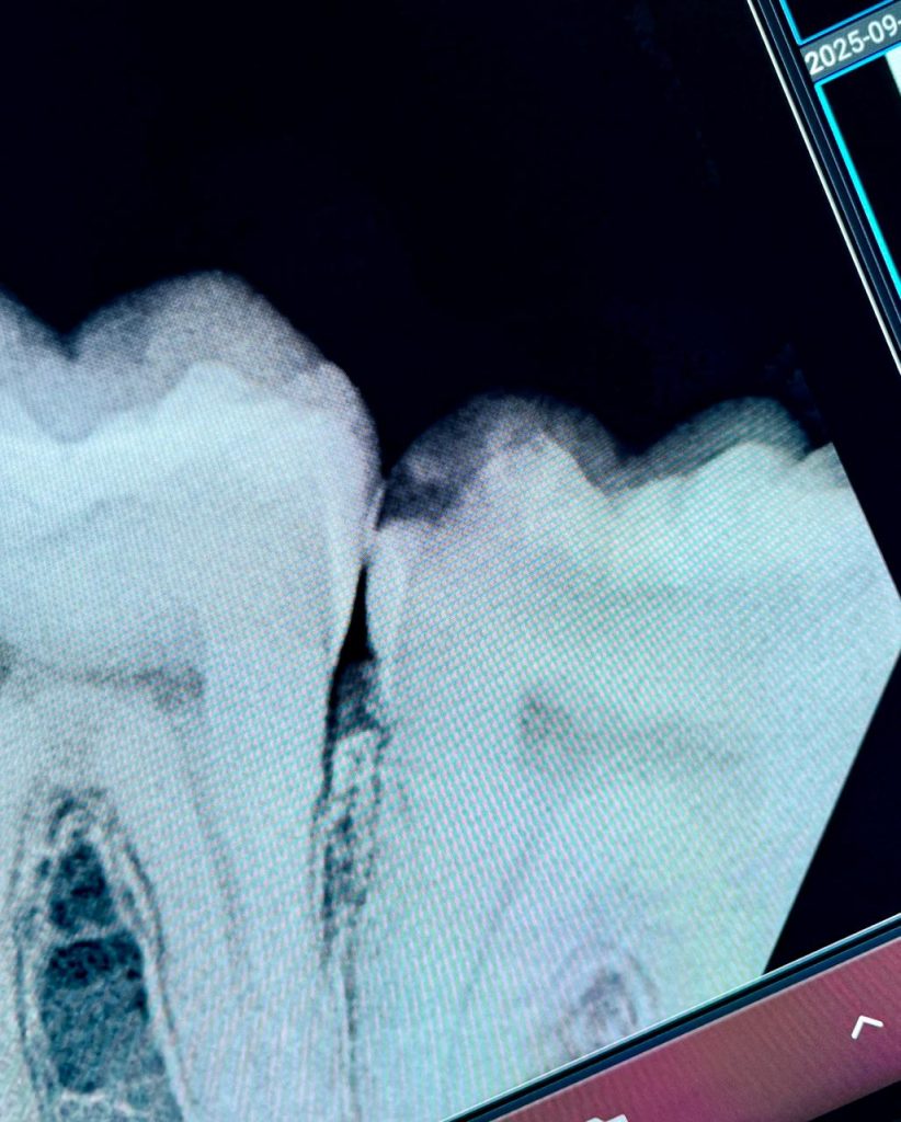 PHOTO-2025-10-15-11-39-44