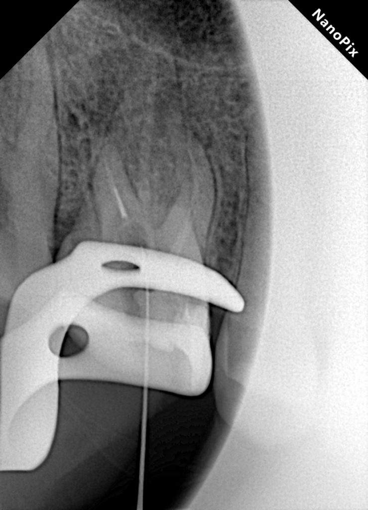 a04f8aaa-ddad-4cbf-8d0a-3169ddeb23fd