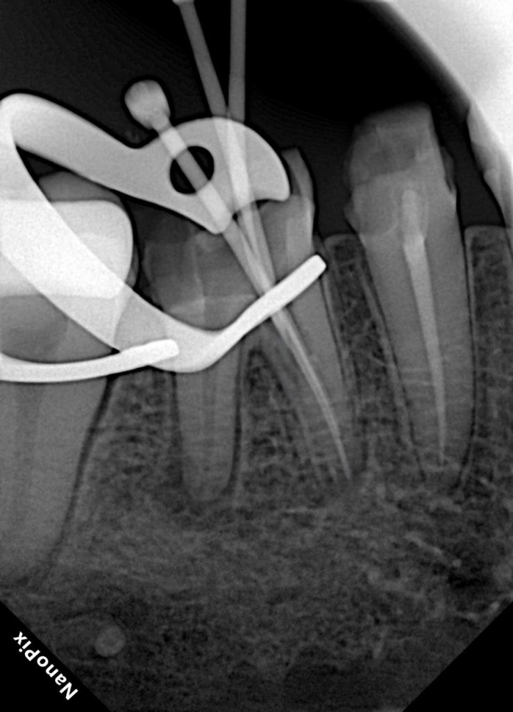 b0e90d58-6c33-4235-a297-ecdea3578e0f