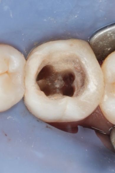 b7c5f158-0181-4d5c-b6fd-868d9a3dd010