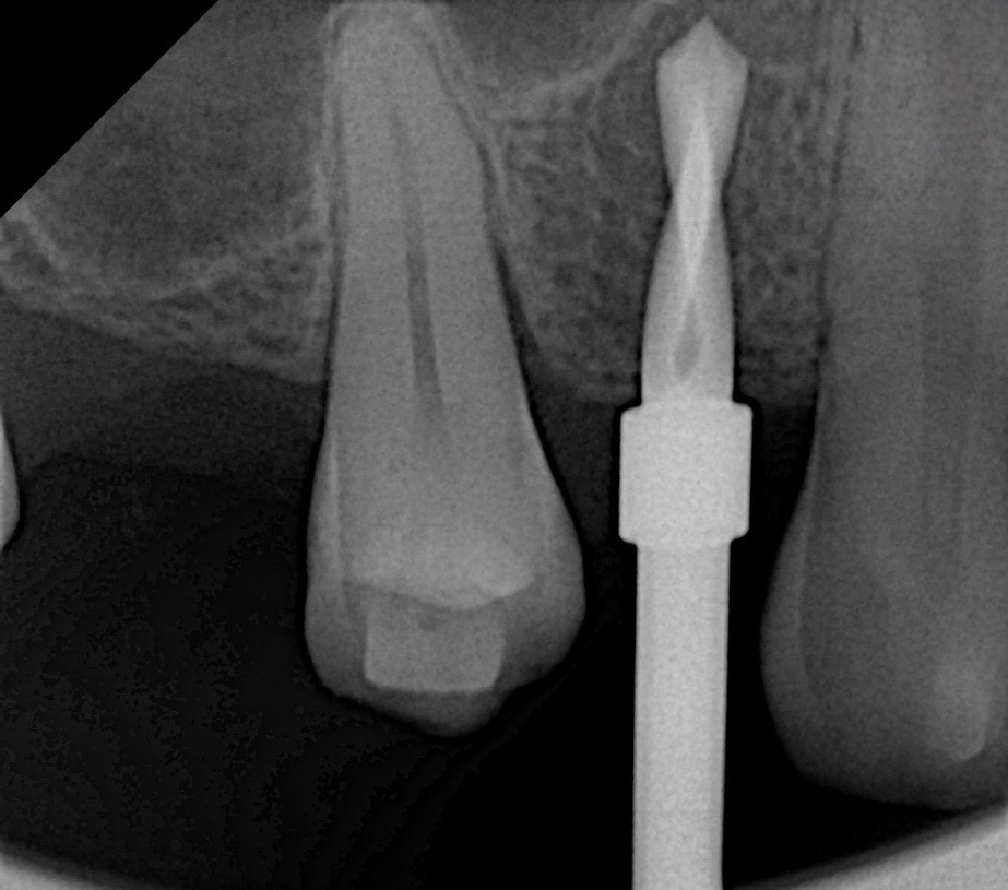 b9971544-054b-4bb2-ad57-d1df0fbbeeb5