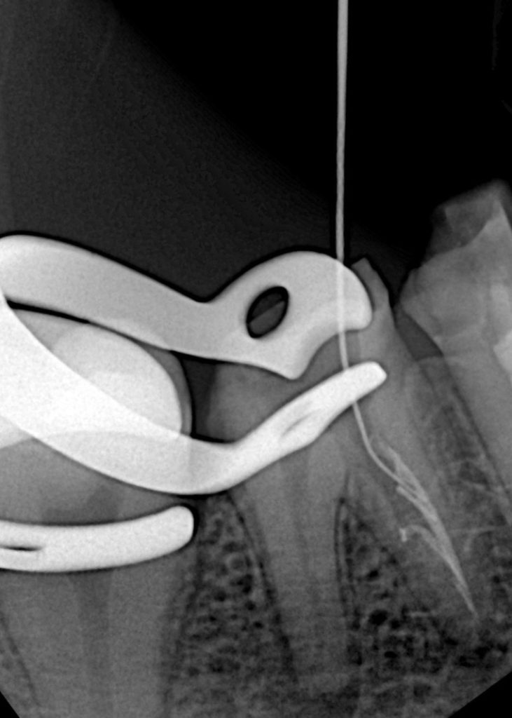 c276c9a2-988e-470b-9d78-80ea711b8279