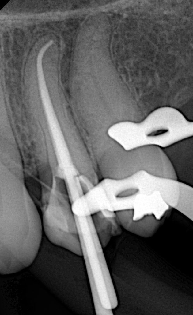 c2e6a744-18e3-404f-883e-8e1267371435