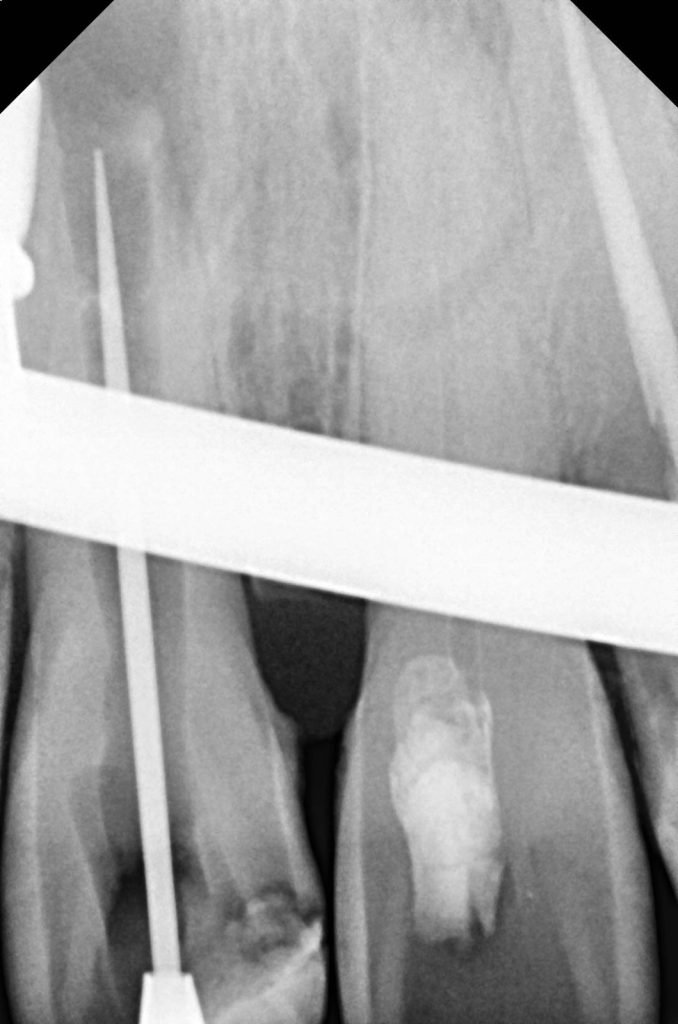 deba6626-dd00-4b90-9fb6-1a4e26937eaf