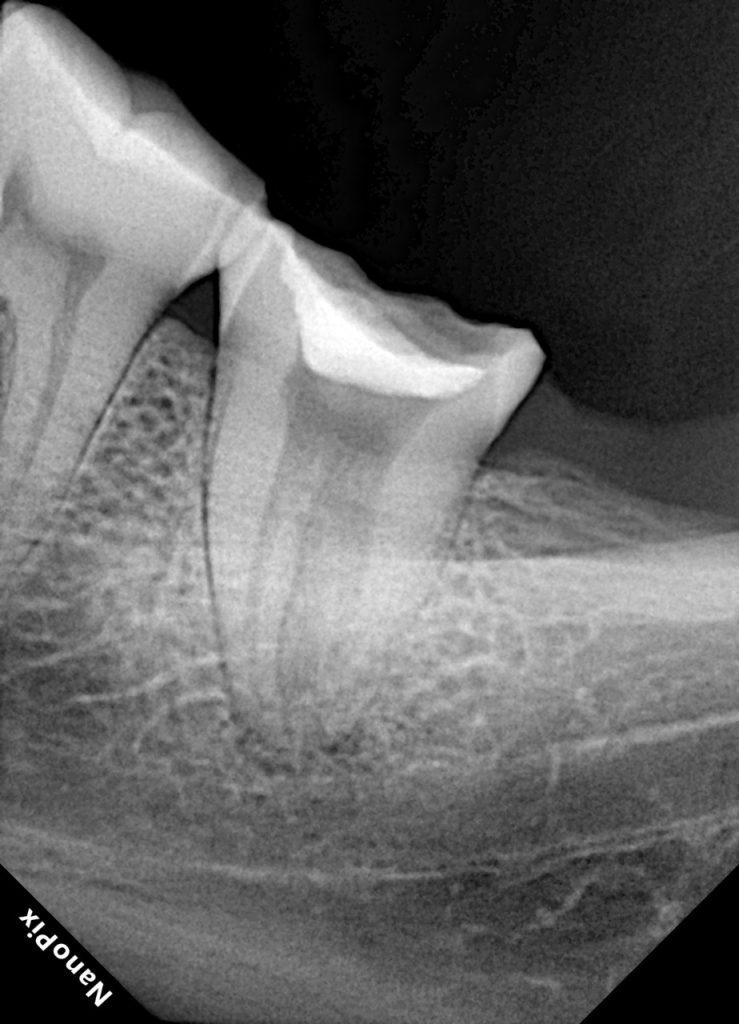 e077ae6e-adae-41c8-92a1-e5493abd2d75