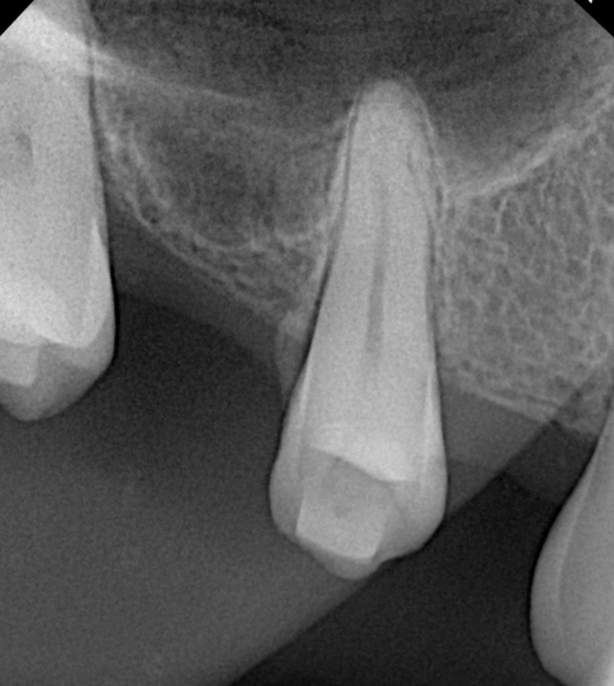 e2c20e0a-1840-457f-a5ac-c835f65bc71b