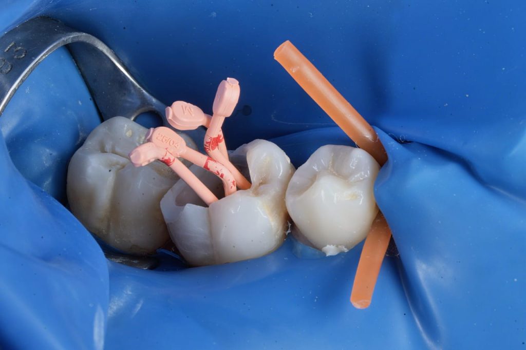 f5bffebd-f710-458d-a0db-0347766acaae