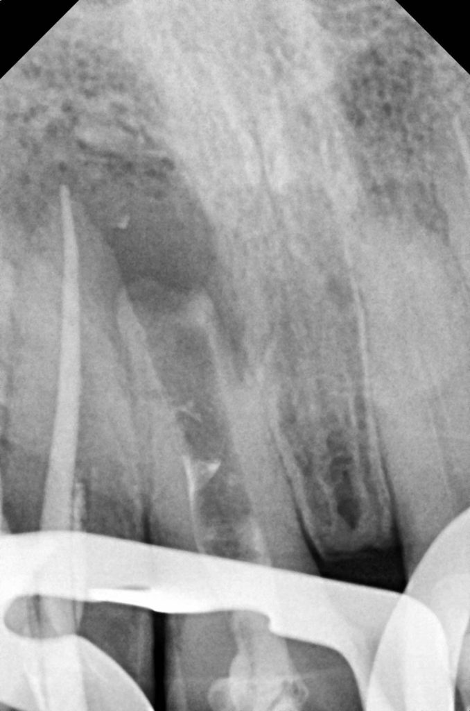 fcca573b-fe5f-46ec-94be-b88492cb83de