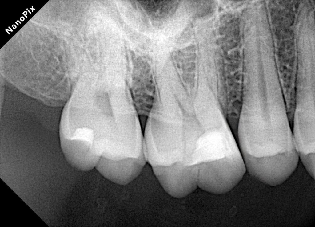 1a8a0458-6d27-46c8-9589-e632d09ac1e6