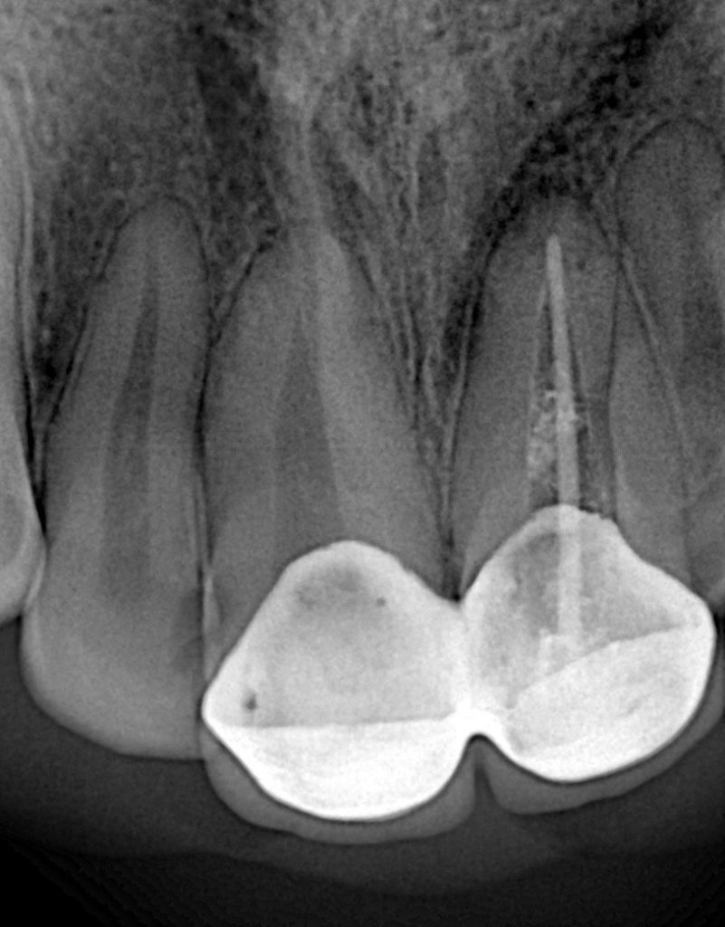 1b04a22b-a60e-46d9-840e-54e9fb5071d8