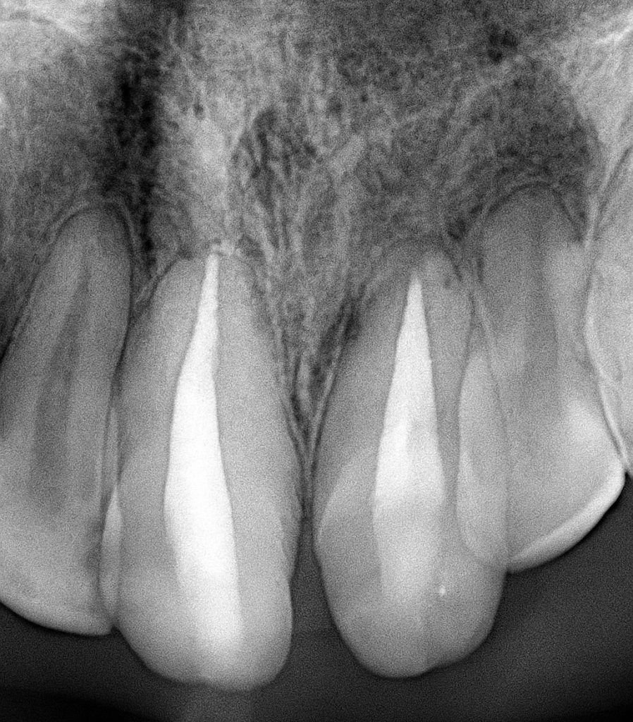 2966DE0B-3347-430D-8C68-C030BFA35681