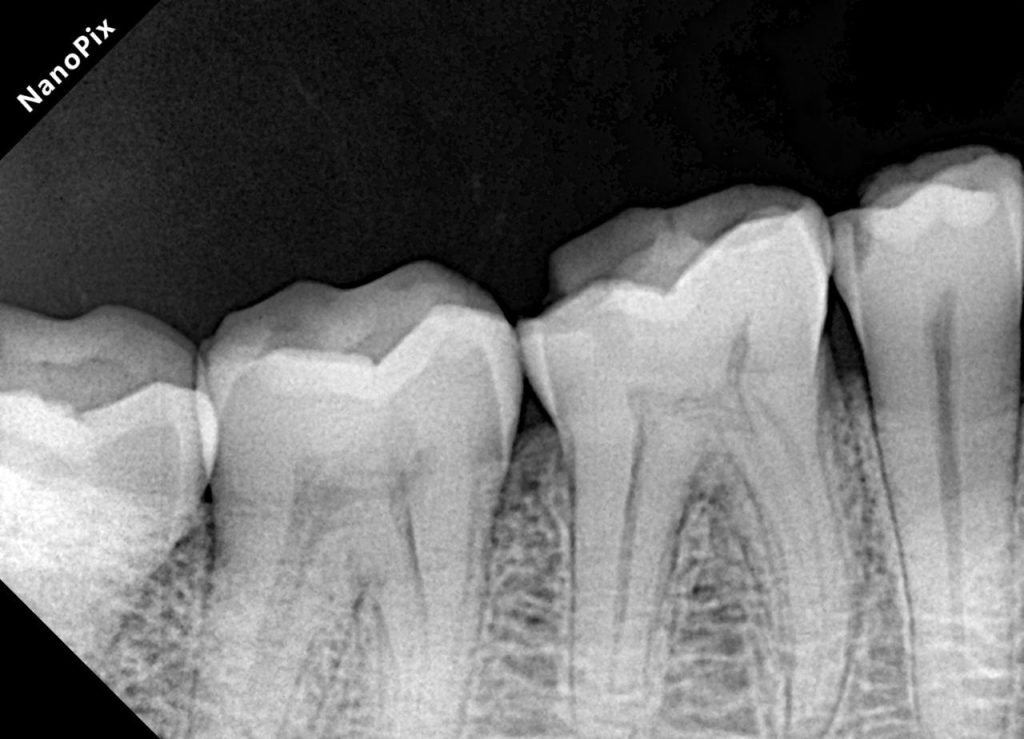 2d522f74-2e02-4ef0-b411-06aa23f694a4