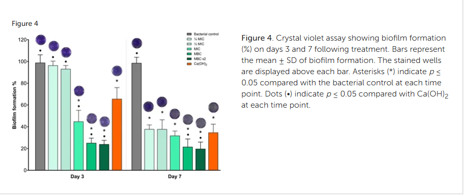 Figure 4. Crystal violet assay showing biofilm formation (%) on days 3 and 7 following treatment. Bars represent the mean ± SD of biofilm formation. The stained wells are displayed above each bar. Asterisks (*) indicate p ≤ 0.05 compared with the bacterial control at each time point. Dots (•) indicate p ≤ 0.05 compared with Ca(OH)2 at each time point.