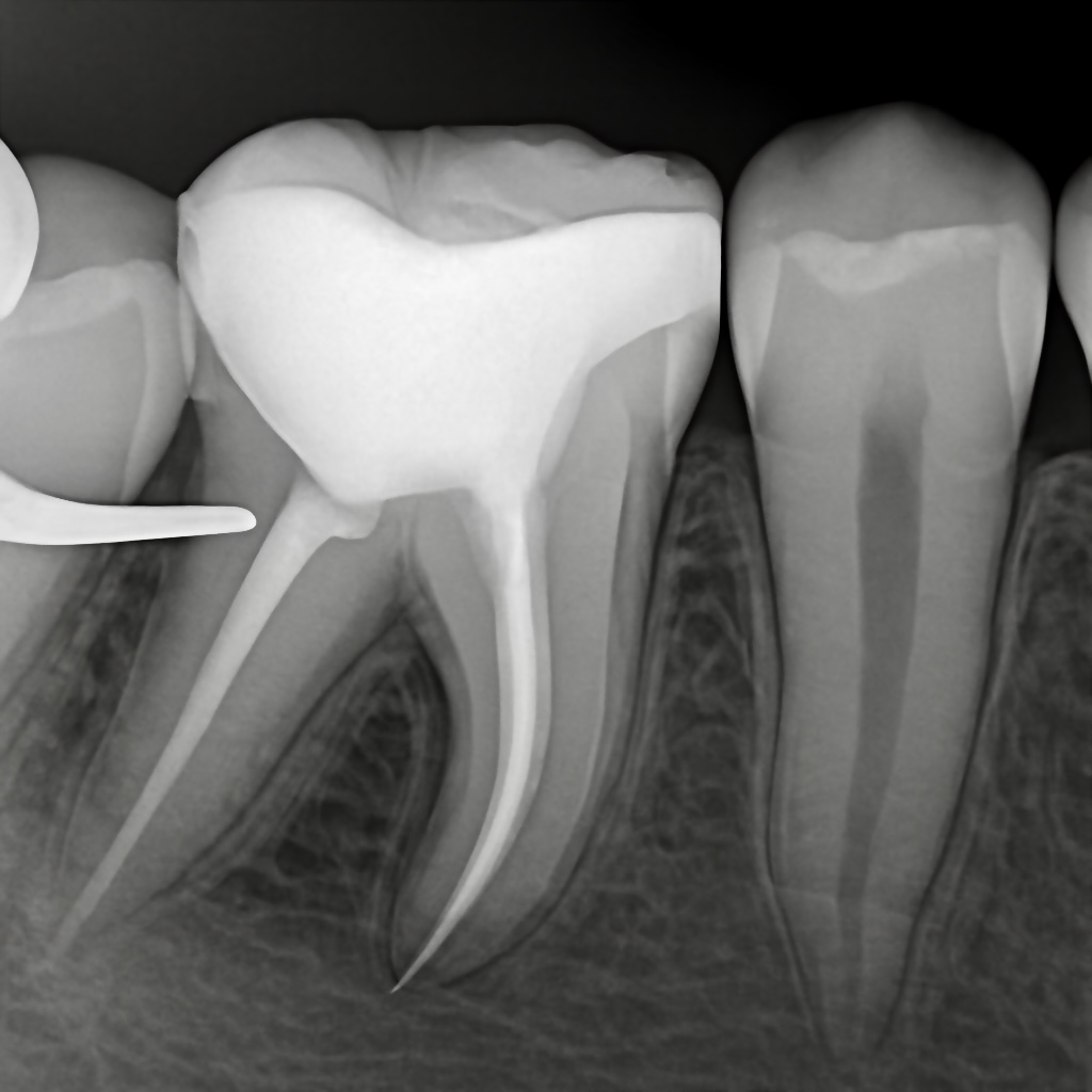 60E536C9-B5EB-4D14-BF77-96B16BABF1EC