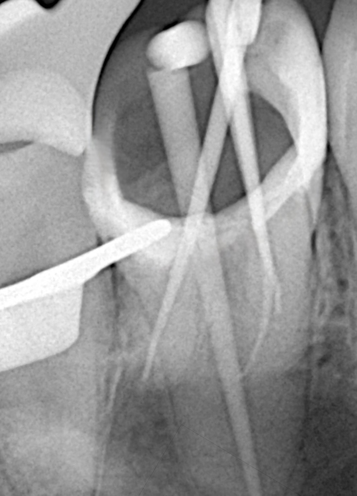 71a2b233-32b3-432b-9aa9-d395073d1015