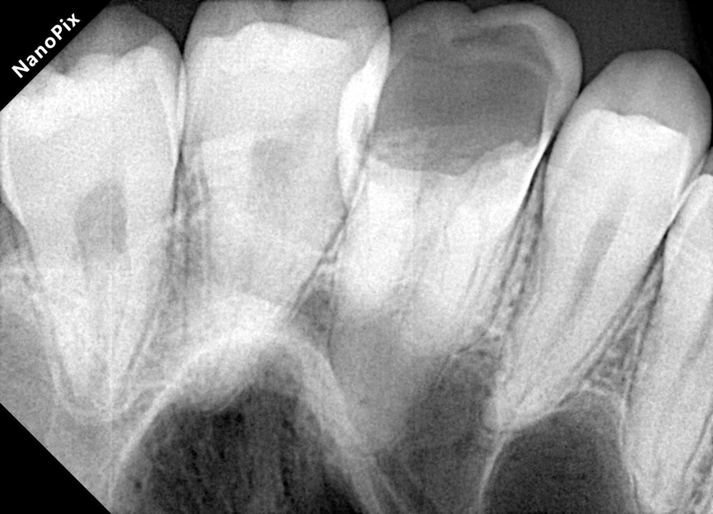 873b6c61-4252-4c50-94e4-f483aa37edf1