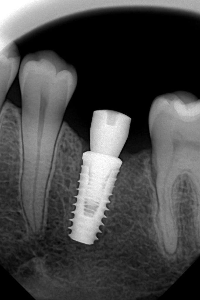 8e59b67d-6b4d-441d-85b2-e23f9663b238