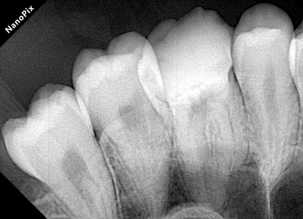 9eff64ff-2b4c-45d6-884d-fcdc44891392