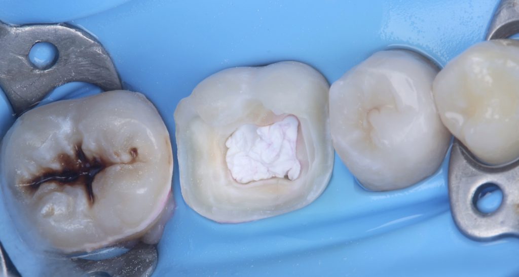 F250C03E-251B-4D09-B5C1-F36FF535E299