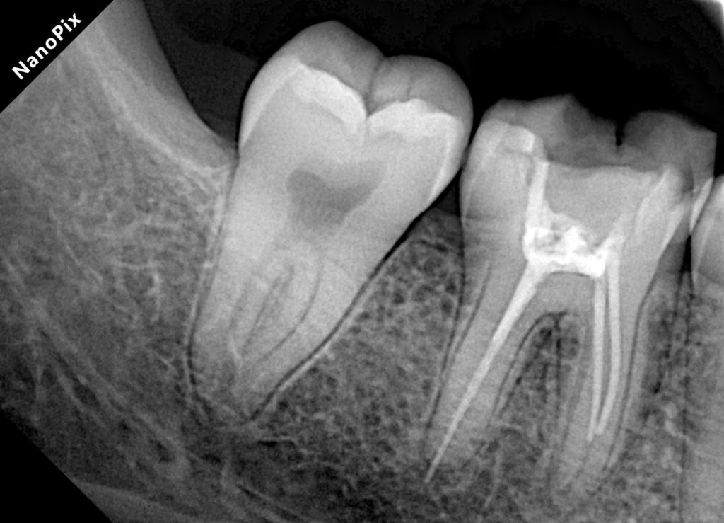 d4ffbf2b-d45d-4338-bcf2-5346e59d37a2