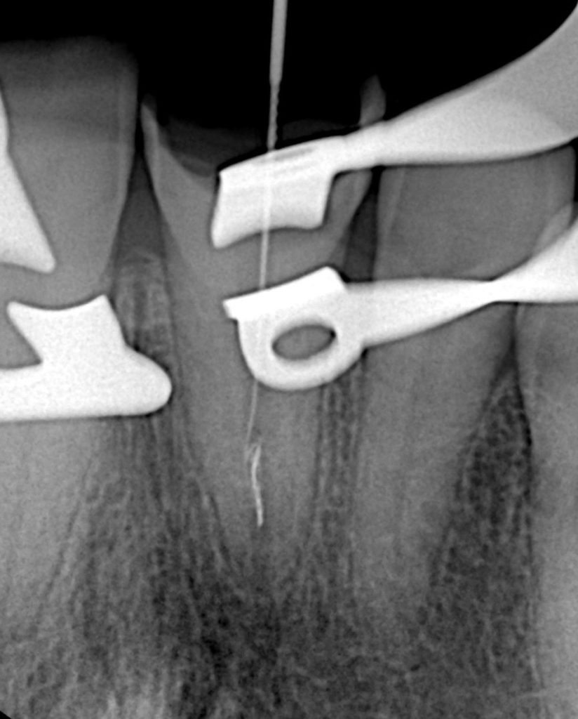 e7b21a4d-9f66-4bbf-a5c6-6b046760d797