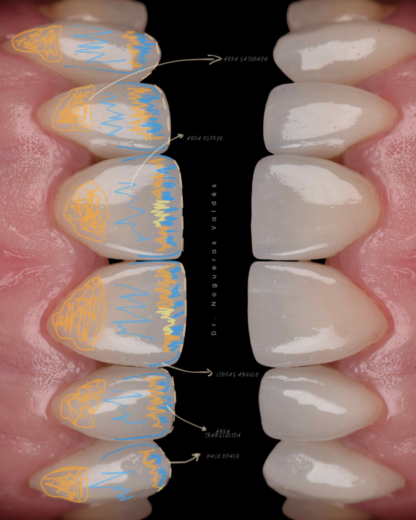 Dr. Nogueras Valdés - 4
