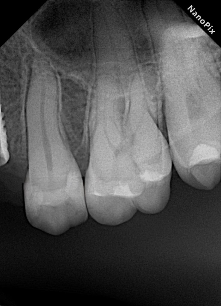 d0a5af77-aac8-4372-b47d-1f5e2f688c31