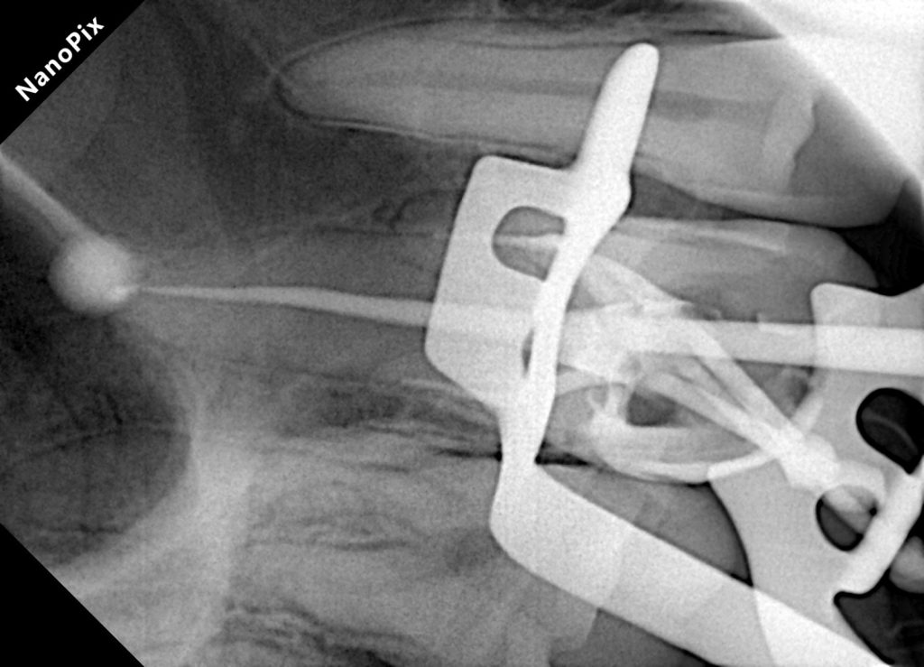 16b9159d-2033-4d37-9a22-41a72a8ee113