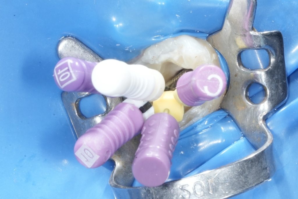 2D100DEC-B9F4-487A-B978-C3455BEE9A8B