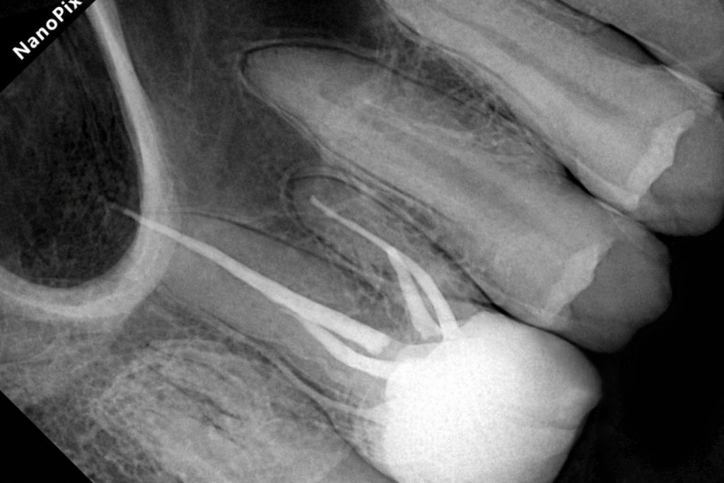 750BC0E9-7DCD-4046-B967-6331DA7417FC