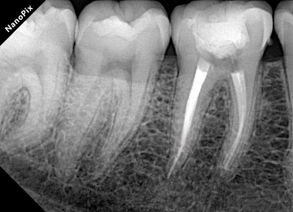 828c11d7-c025-4daf-8948-4e6a5bcee601