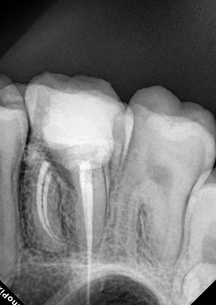 AC049050-EC73-4B0F-8FDF-C0BB6271D979