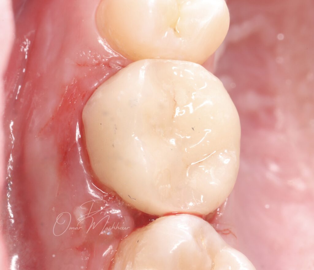 B82F36F1-1A2D-476B-83F9-76F522B70264