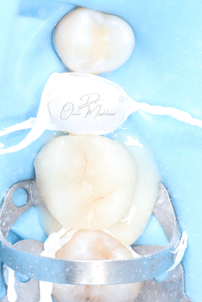 CDED4C19-6A51-49D4-A7BD-B3BA592B194E