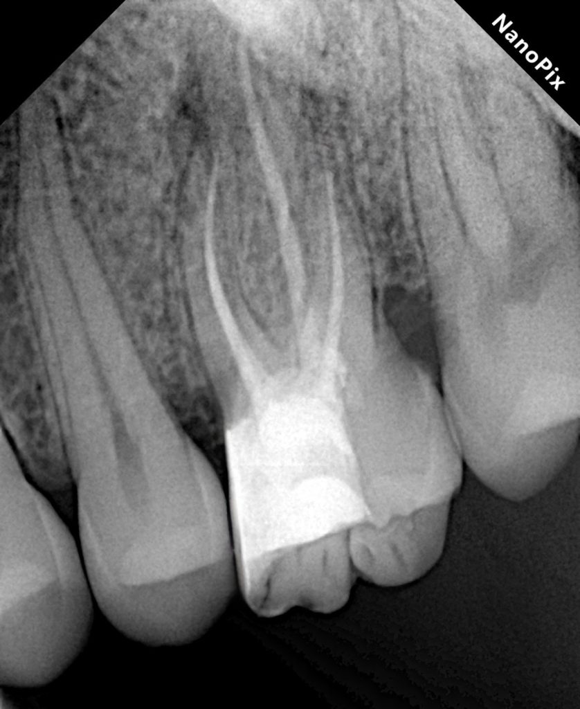 bbd866b8-af73-469d-809e-b52254918ded